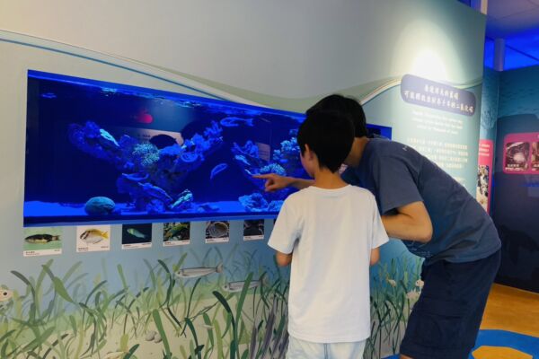 海科馆推出碳索海洋特展 探索蓝碳及珊瑚奥秘