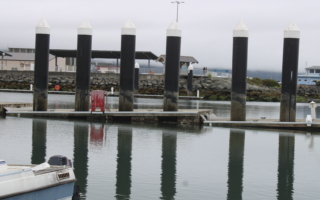 加州沿海小城報告海嘯損失達100萬美元