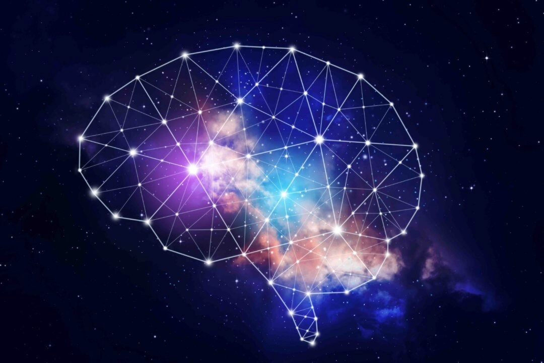 【名家專欄】人工智能走俏 而人腦仍待探索