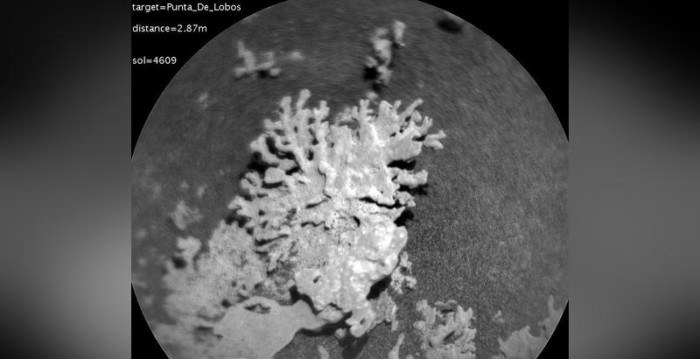 NASA好奇号发现火星上数十亿年前“珊瑚”