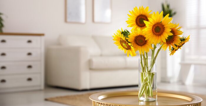 如何延长向日葵花束的寿命? 专家分享8招