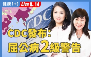 蚊媒疫情拉警報：基孔肯雅熱爆發！