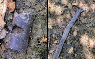 鼠患令加州中谷杏仁堅果農損慘重