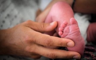 美2024出生人數小幅上升 生育率卻創新低