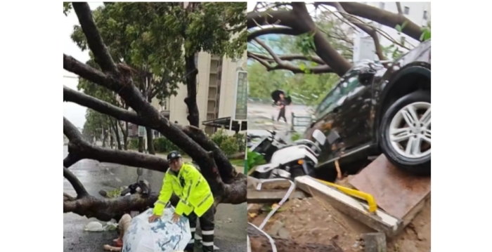 台风“剑鱼”肆虐海南 豪华酒店大门被吹掉