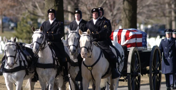 “骑兵来了！” 美国军事史上的战马与骑手