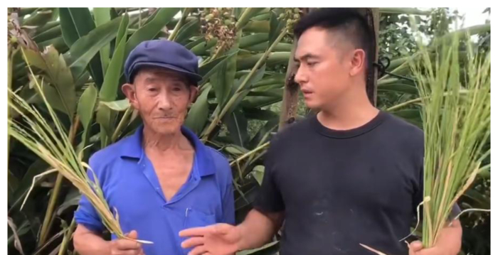 杨佳佳：从交公粮到交社保——中共的吸血骗局