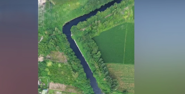 湖北孝感一河流被曝成黑水河 散发刺鼻药味