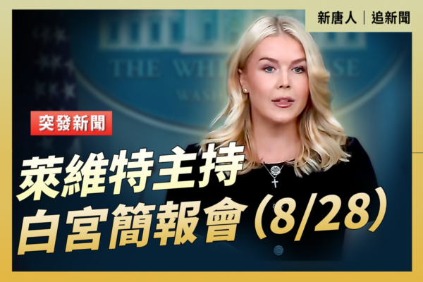【直播】萊維特主持白宮簡報會（8/28）