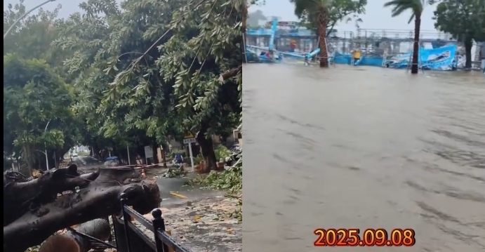 台风“塔巴”来袭 广东多地停课、停航、停运