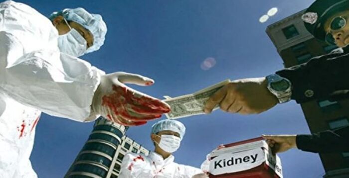 【网海拾贝】中共981工程=现实版的731