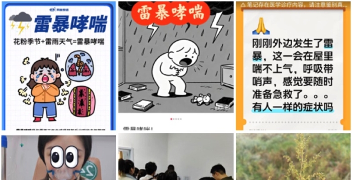 大陆6省出现“雷暴哮喘” 医院爆满