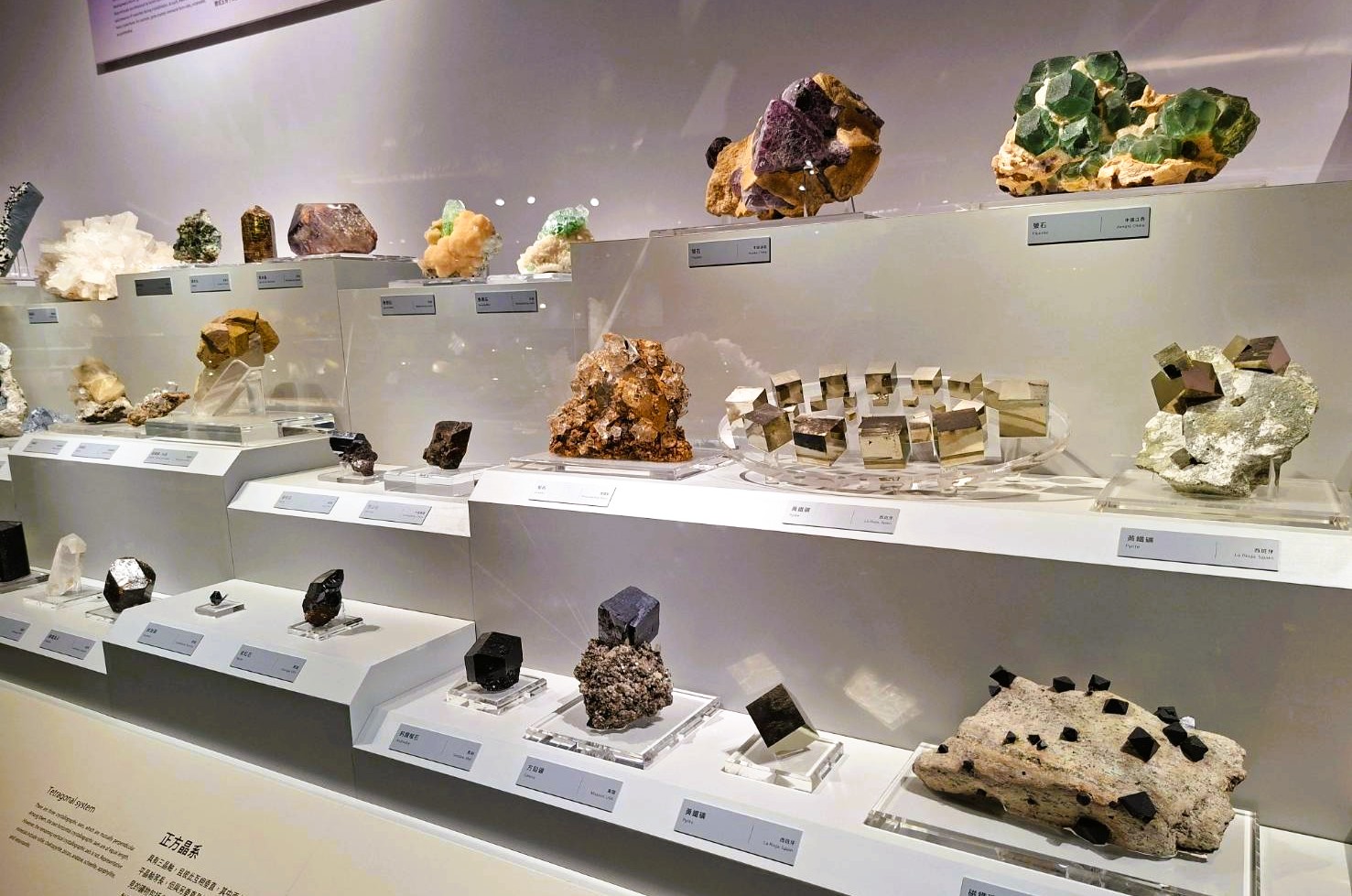 巨大钟乳石群、紫水晶洞科博馆矿物常设展壮丽登场| 大纪元