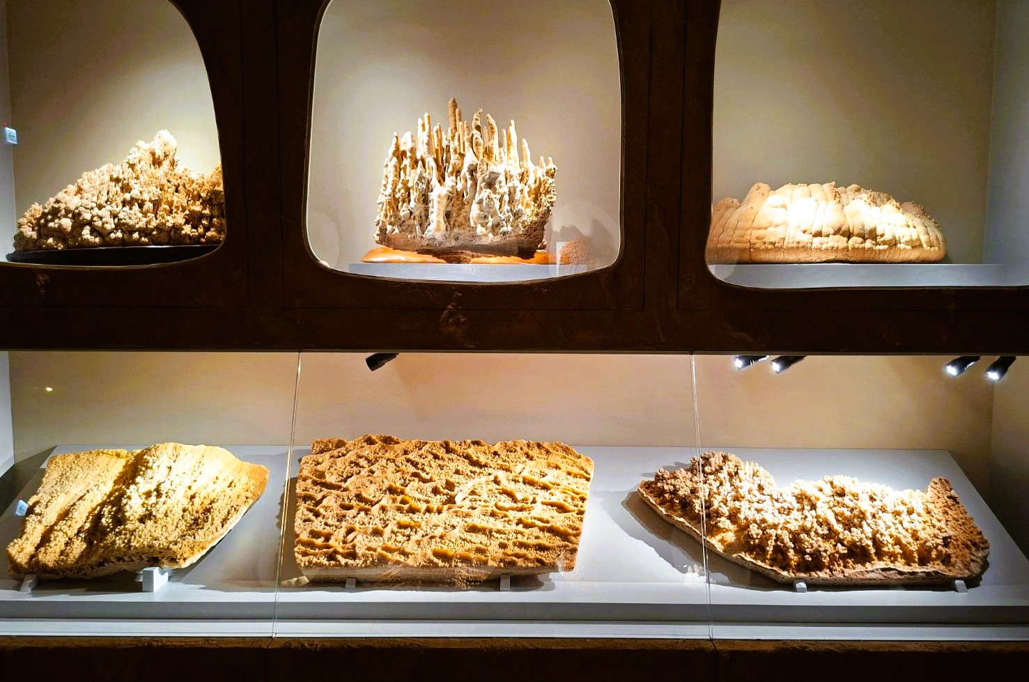 巨大钟乳石群、紫水晶洞科博馆矿物常设展壮丽登场| 大纪元