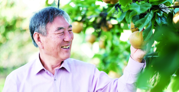 新泽西常青农场：果香中传播善念