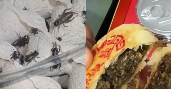 山东推出“蟋蟀月饼”怪异口味引质疑