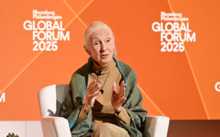 著名靈長類動物學家珍·古德去世 享壽91歲