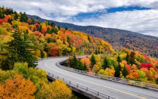 青松絮语：走错路的收获