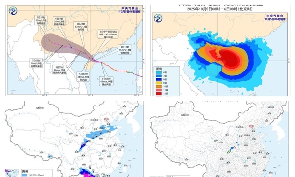 台风“麦德姆”登陆广东 七省区大到暴雨