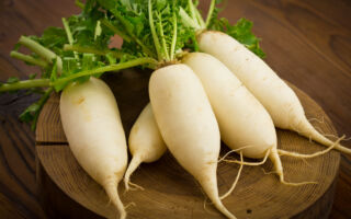 研究：新鮮蔬菜會吸收奈米塑膠 讓你吃進去