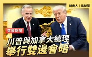 【直播】川普总统与加拿大总理举行双边会晤