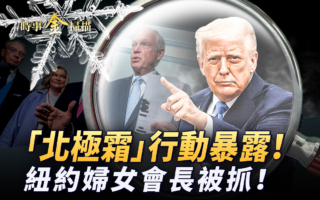 【時事金掃描】北極霜行動曝光 比水門案醜惡
