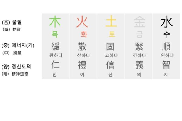 人体是大宇宙中的小宇宙——气、经络、脉