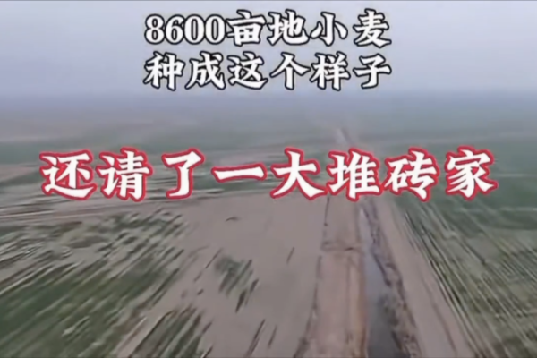 中国农村土地延包试点扩大 网曝资本下乡乱象