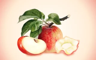 解鎖蘋果全功效：從果皮到果肉的健康祕密