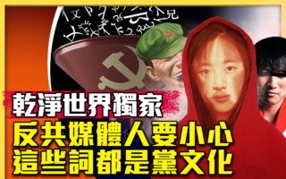 【十字路口】反共媒体人请留意党文化词语