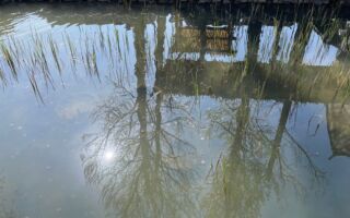 微型小說：何不下車撒泡尿