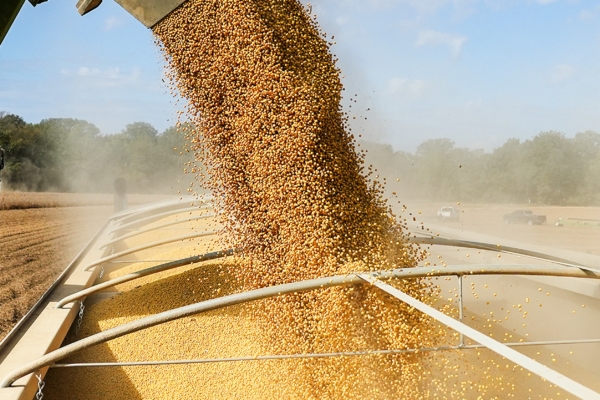 北京承諾買美大豆1200萬噸 僅完成33.2萬噸