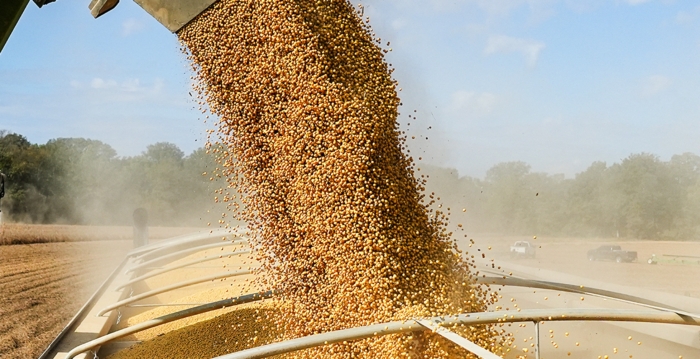 美中谈判达有限共识 江浙企业盼协议落地