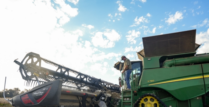 川习会前 中粮集团开始购买美国大豆