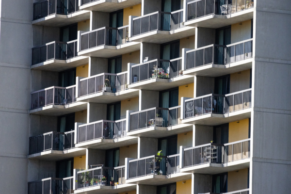 洛杉磯取代芝加哥 成為「全美鼠患最嚴重城市」