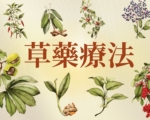【圖解】用於草藥療法的植物功效一覽