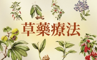 【圖解】用於草藥療法的植物功效一覽