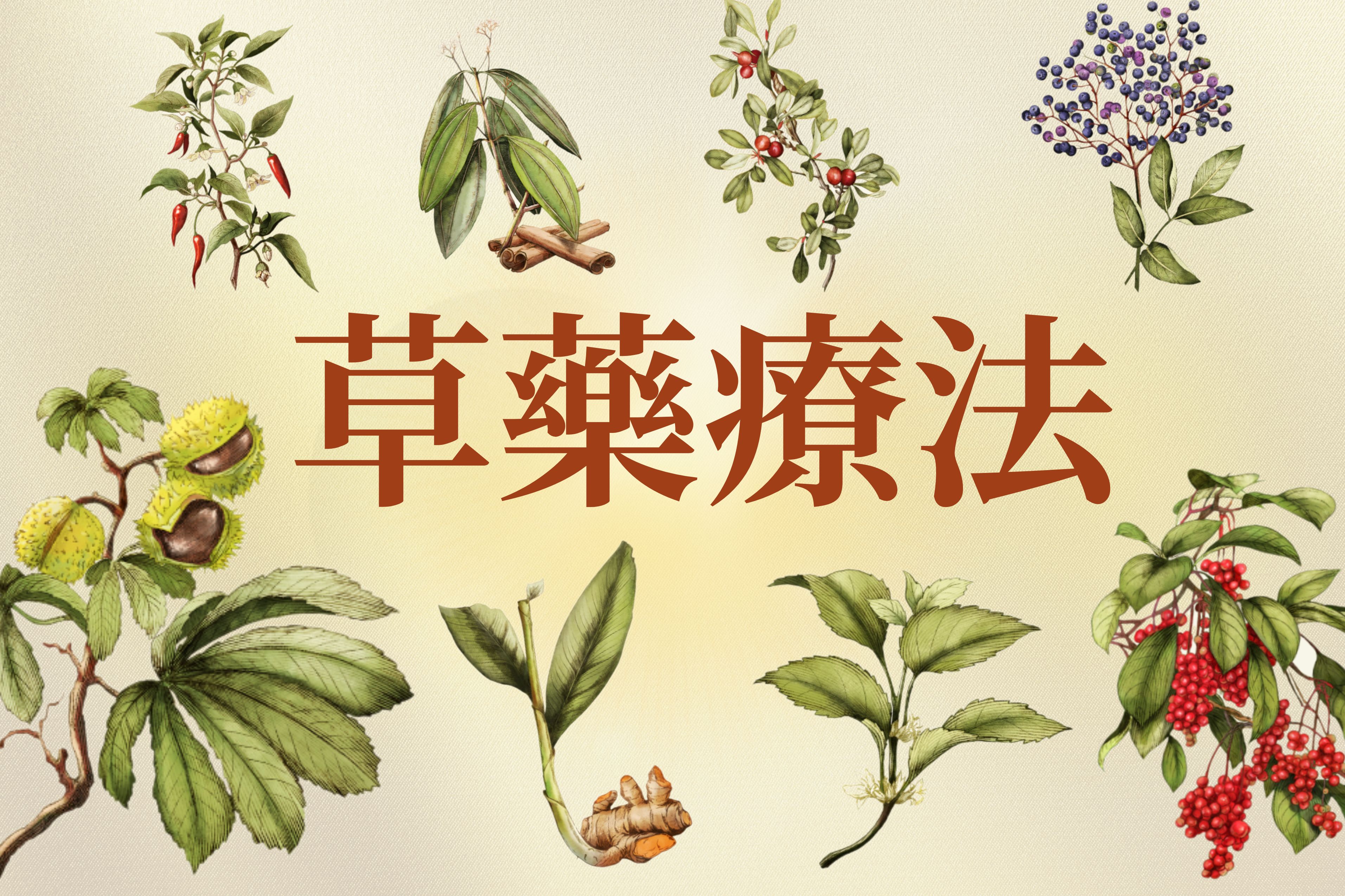 科學角度解釋伊麗莎白·泰勒為何迷人，5個原因讓她的美如此罕見- 頭條匯, image size:3825x2550