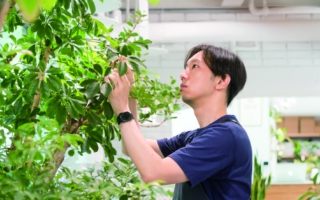 用對養護方法 植物會比人類更長壽（上）