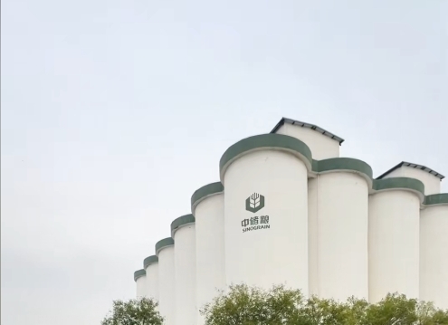 山东中储粮仓库坍塌致7死事故违规细节曝光