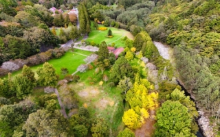 凤凰台来袭  武陵、福寿山农场11日下午2时起休园