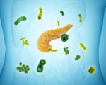 研究揭示:特定口腔细菌与胰腺癌风险相关