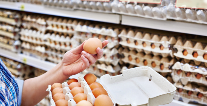 蛋价“大跳水” 湖北河北鸡农亏损数十万