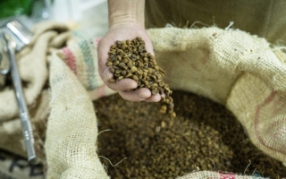 美与拉美四国达框架协议 减免咖啡等关税