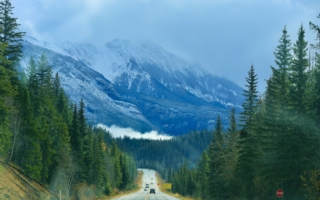 美国国家公园礼品店内DEI类商品将被下架