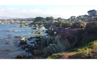 卡城华人男子和7岁女儿被加州海浪卷走身亡