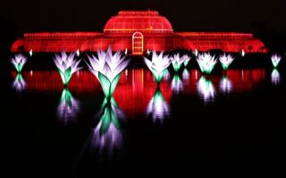 组图：世界多地亮起节日彩灯 喜迎圣诞