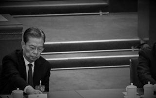 赵乐际涉活摘器官暴行 律师促澳洲拒接待