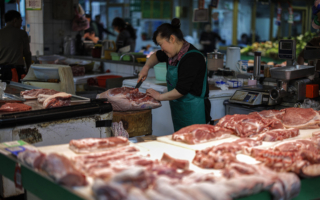 中國再爆非洲豬瘟 當局放任死豬流入市場