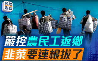 【时政春秋】严控农民工返乡 韭菜要连根拔了